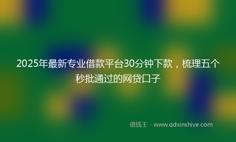 2025年最新专业借款平台30分钟下款，梳理五个秒批通过的网贷口子