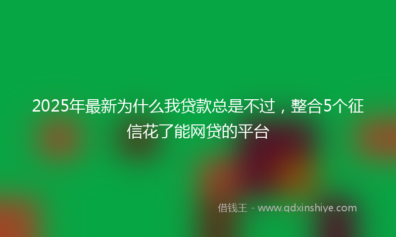 2025年最新为什么我贷款总是不过，整合5个征信花了能网贷的平台