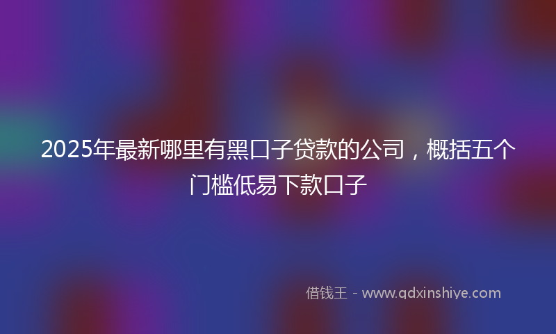 2025年最新哪里有黑口子贷款的公司，概括五个门槛低易下款口子