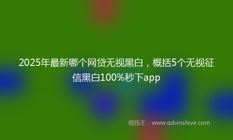 2025年最新哪个网贷无视黑白，概括5个无视征信黑白100%秒下app
