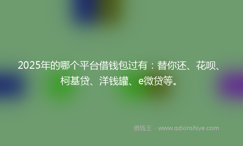 2025年的哪个平台借钱包过有：替你还、花呗、柯基贷、洋钱罐、e微贷等。