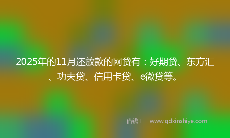 2025年的11月还放款的网贷有：好期贷、东方汇、功夫贷、信用卡贷、e微贷等。