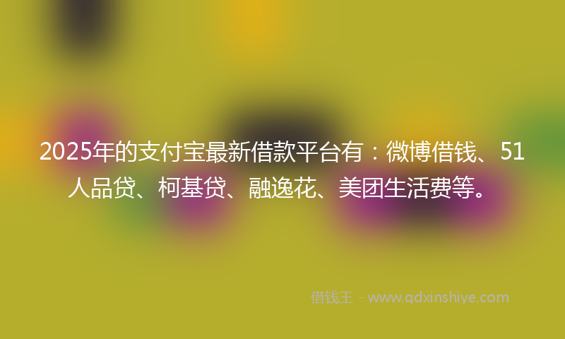 2025年的支付宝最新借款平台有：微博借钱、51人品贷、柯基贷、融逸花、美团生活费等。