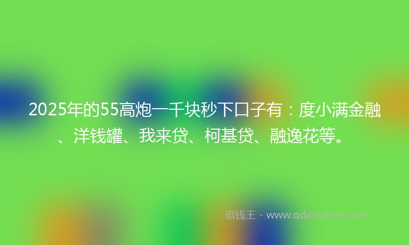 2025年的55高炮一千块秒下口子有：度小满金融、洋钱罐、我来贷、柯基贷、融逸花等。