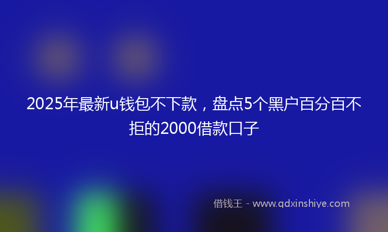 2025年最新u钱包不下款，盘点5个黑户百分百不拒的2000借款口子