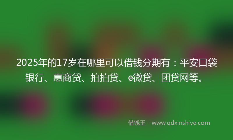 2025年的17岁在哪里可以借钱分期有：平安口袋银行、惠商贷、拍拍贷、e微贷、团贷网等。
