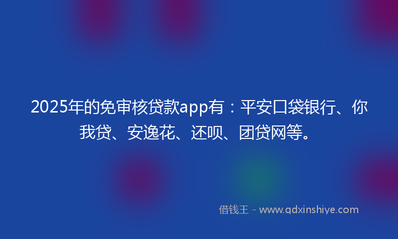 2025年的免审核贷款app有：平安口袋银行、你我贷、安逸花、还呗、团贷网等。