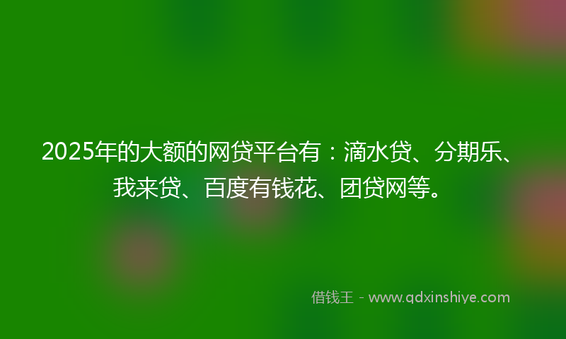 2025年的大额的网贷平台有：滴水贷、分期乐、我来贷、百度有钱花、团贷网等。