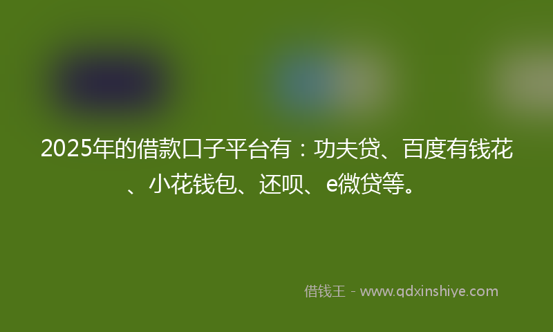 2025年的借款口子平台有：功夫贷、百度有钱花、小花钱包、还呗、e微贷等。