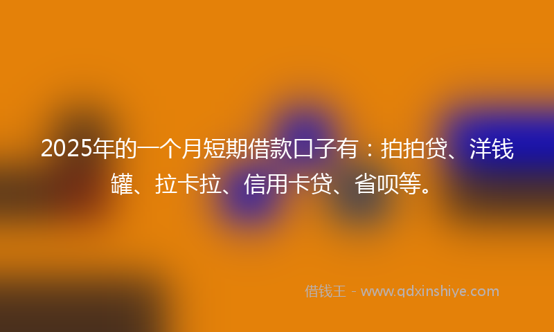 2025年的一个月短期借款口子有：拍拍贷、洋钱罐、拉卡拉、信用卡贷、省呗等。