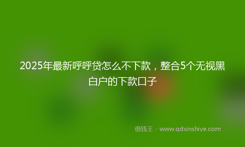 2025年最新呼呼贷怎么不下款，整合5个无视黑白户的下款口子