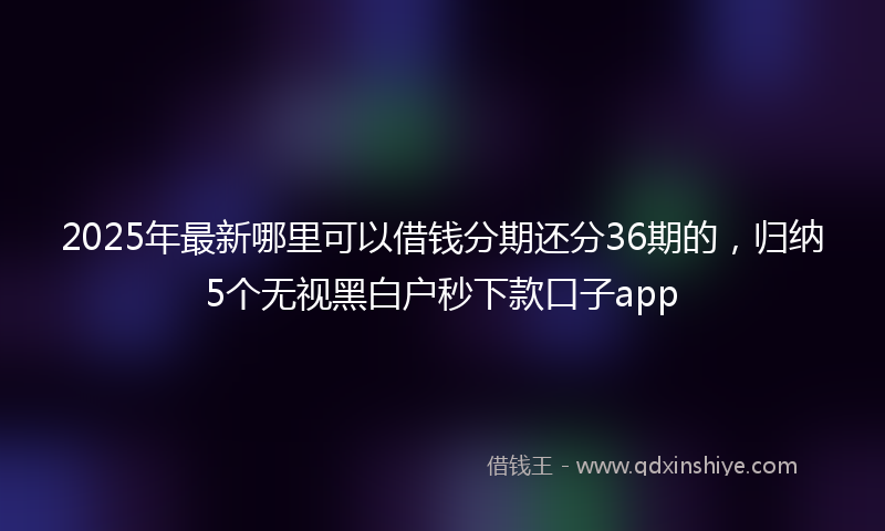 2025年最新哪里可以借钱分期还分36期的，归纳5个无视黑白户秒下款口子app