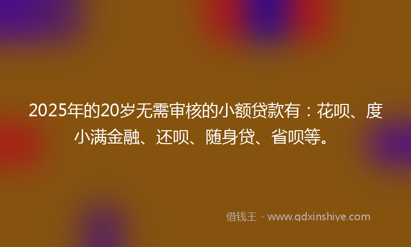 2025年的20岁无需审核的小额贷款有：花呗、度小满金融、还呗、随身贷、省呗等。