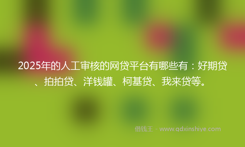 2025年的人工审核的网贷平台有哪些有：好期贷、拍拍贷、洋钱罐、柯基贷、我来贷等。