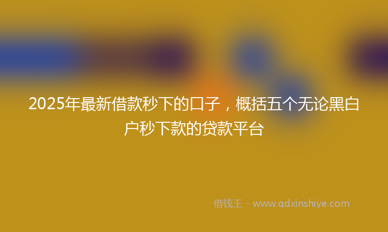2025年最新借款秒下的口子，概括五个无论黑白户秒下款的贷款平台