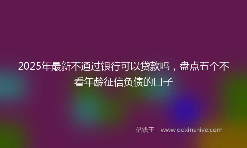 2025年最新不通过银行可以贷款吗，盘点五个不看年龄征信负债的口子