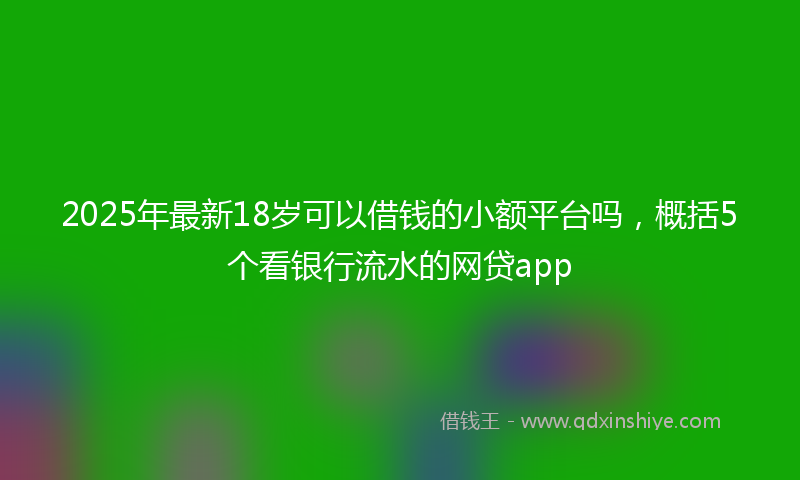 2025年最新18岁可以借钱的小额平台吗，概括5个看银行流水的网贷app