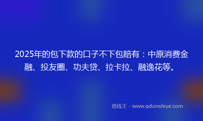 2025年的包下款的口子不下包赔有：中原消费金融、投友圈、功夫贷、拉卡拉、融逸花等。