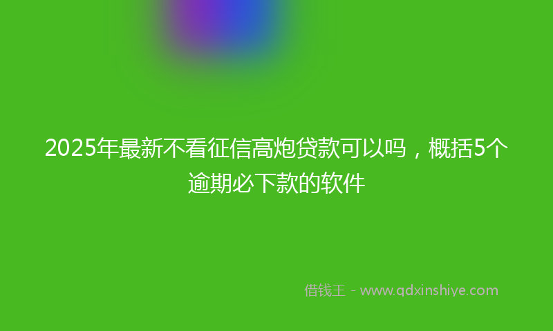 2025年最新不看征信高炮贷款可以吗，概括5个逾期必下款的软件