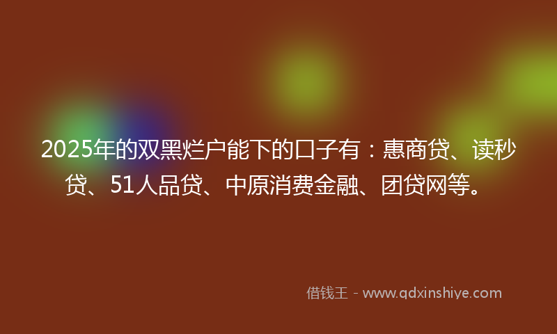2025年的双黑烂户能下的口子有：惠商贷、读秒贷、51人品贷、中原消费金融、团贷网等。