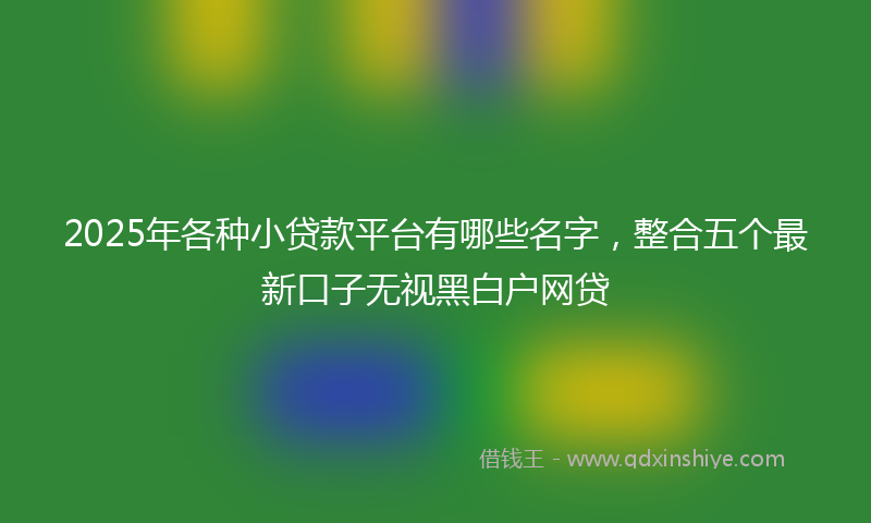 2025年各种小贷款平台有哪些名字，整合五个最新口子无视黑白户网贷