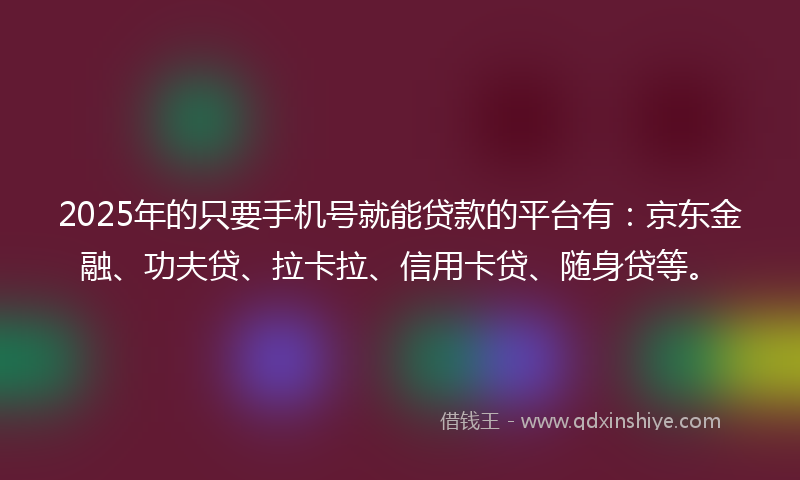 2025年的只要手机号就能贷款的平台有：京东金融、功夫贷、拉卡拉、信用卡贷、随身贷等。