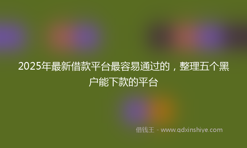 2025年最新借款平台最容易通过的，整理五个黑户能下款的平台