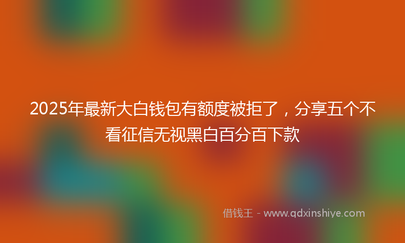 2025年最新大白钱包有额度被拒了，分享五个不看征信无视黑白百分百下款