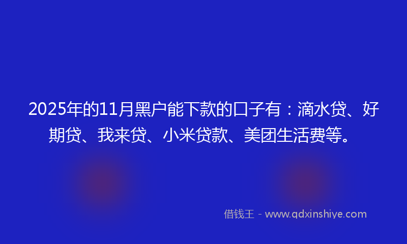 2025年的11月黑户能下款的口子有：滴水贷、好期贷、我来贷、小米贷款、美团生活费等。