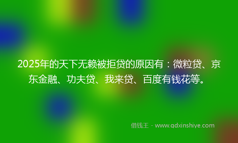 2025年的天下无赖被拒贷的原因有：微粒贷、京东金融、功夫贷、我来贷、百度有钱花等。