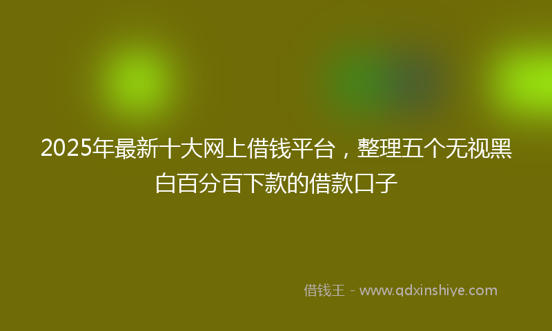 2025年最新十大网上借钱平台，整理五个无视黑白百分百下款的借款口子
