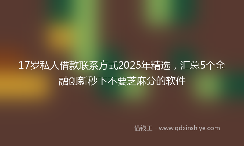 17岁私人借款联系方式2025年精选，汇总5个金融创新秒下不要芝麻分的软件