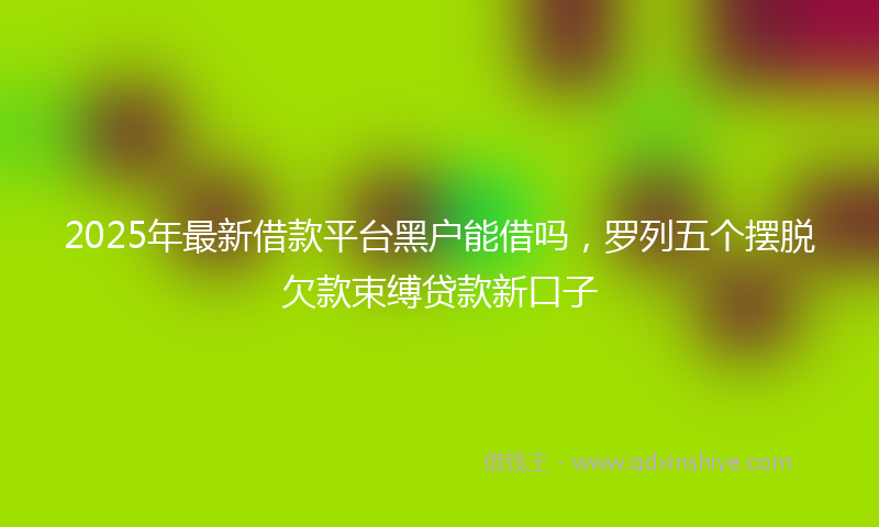 2025年最新借款平台黑户能借吗，罗列五个摆脱欠款束缚贷款新口子