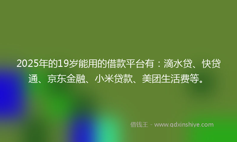 2025年的19岁能用的借款平台有：滴水贷、快贷通、京东金融、小米贷款、美团生活费等。