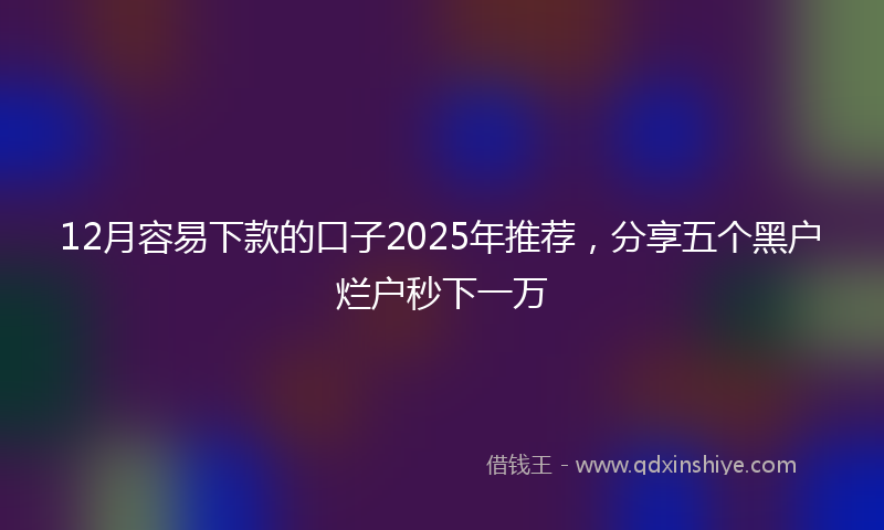 12月容易下款的口子2025年推荐，分享五个黑户烂户秒下一万