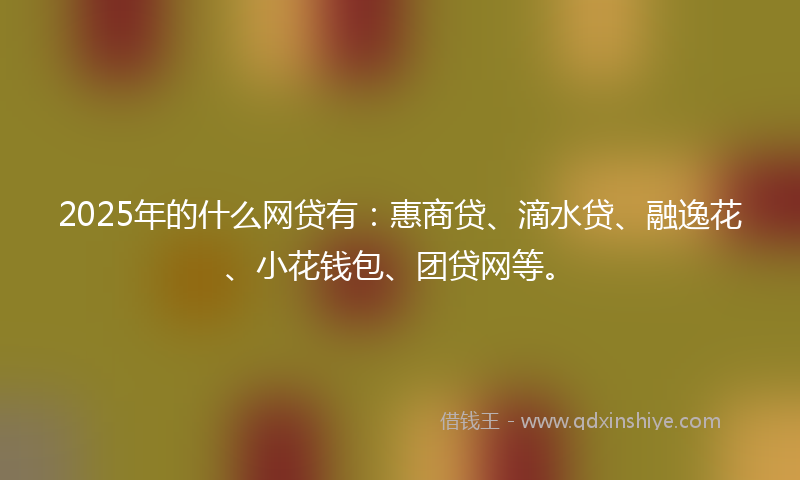 2025年的什么网贷有：惠商贷、滴水贷、融逸花、小花钱包、团贷网等。