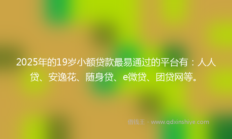 2025年的19岁小额贷款最易通过的平台有：人人贷、安逸花、随身贷、e微贷、团贷网等。