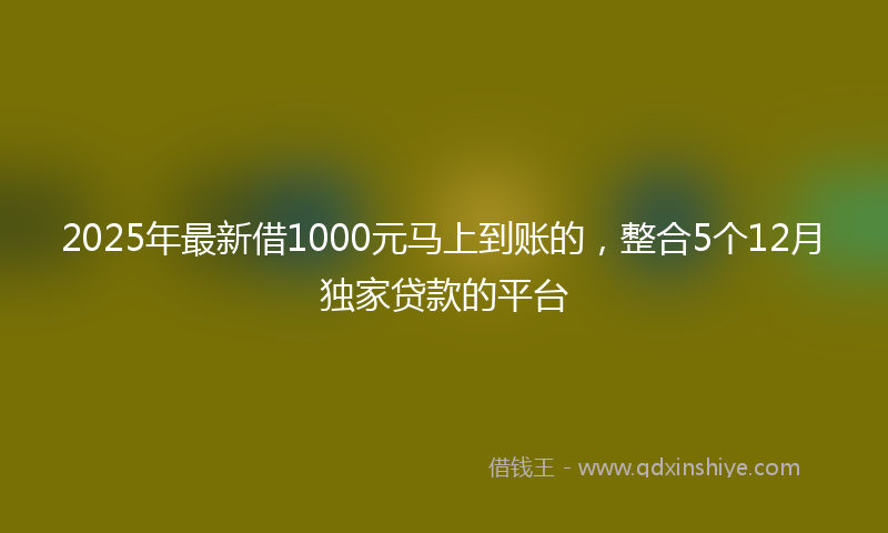 2025年最新借1000元马上到账的，整合5个12月独家贷款的平台