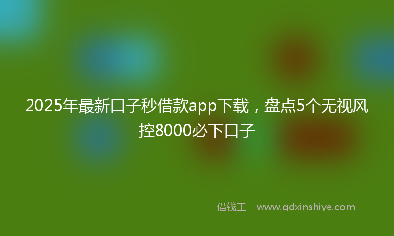 2025年最新口子秒借款app下载，盘点5个无视风控8000必下口子