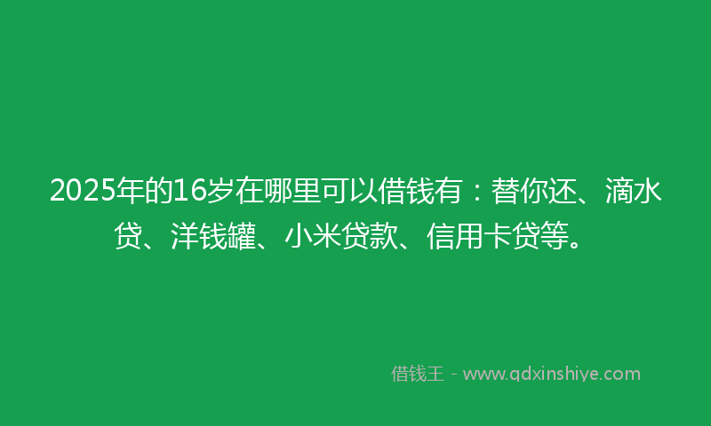 2025年的16岁在哪里可以借钱有：替你还、滴水贷、洋钱罐、小米贷款、信用卡贷等。