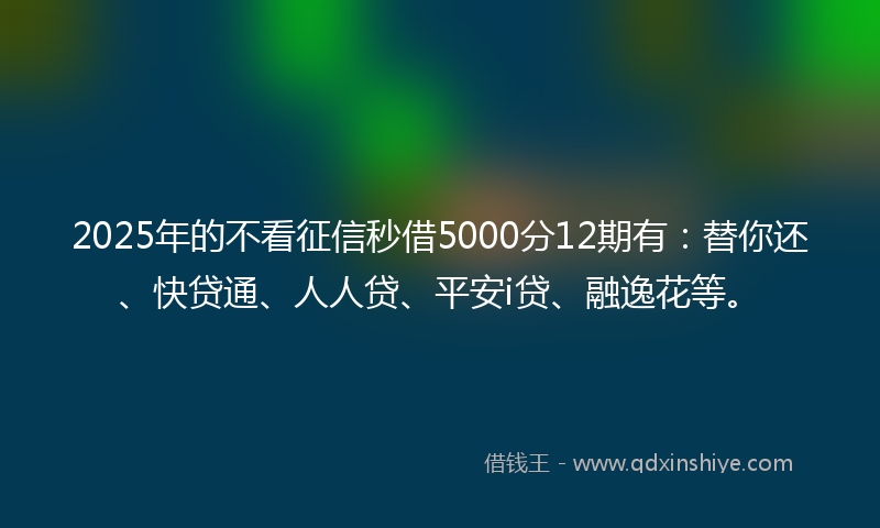 2025年的不看征信秒借5000分12期有：替你还、快贷通、人人贷、平安i贷、融逸花等。