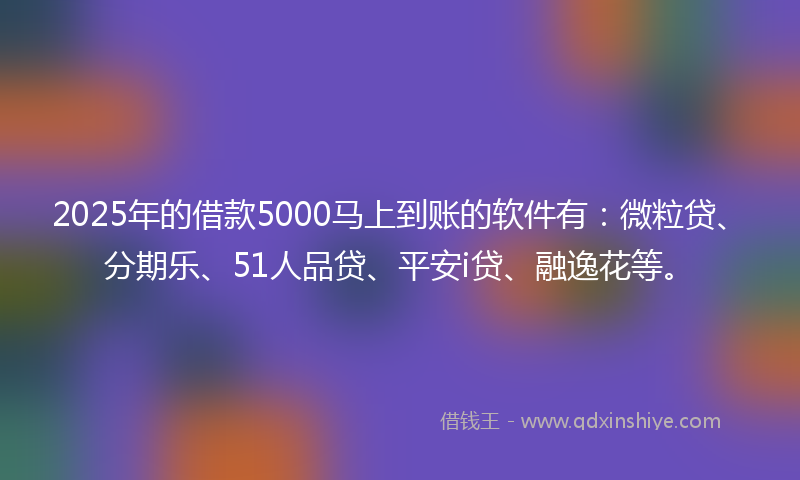 2025年的借款5000马上到账的软件有：微粒贷、分期乐、51人品贷、平安i贷、融逸花等。