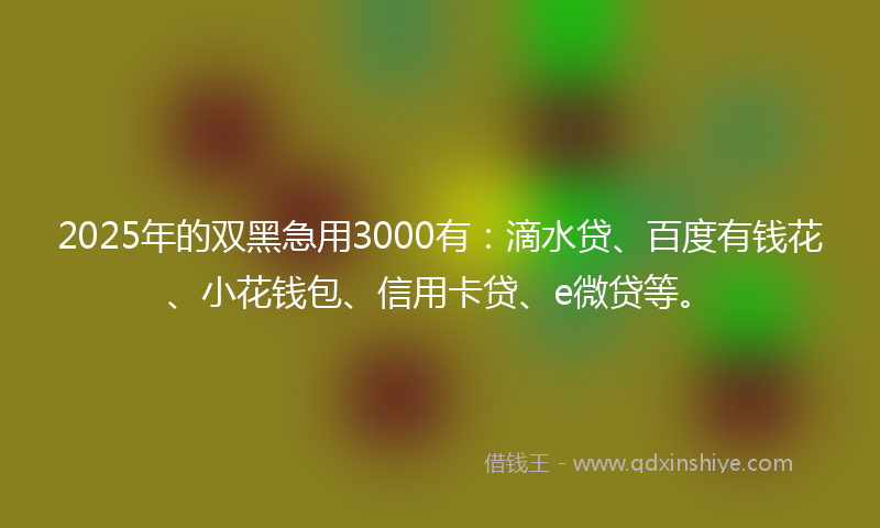 2025年的双黑急用3000有：滴水贷、百度有钱花、小花钱包、信用卡贷、e微贷等。