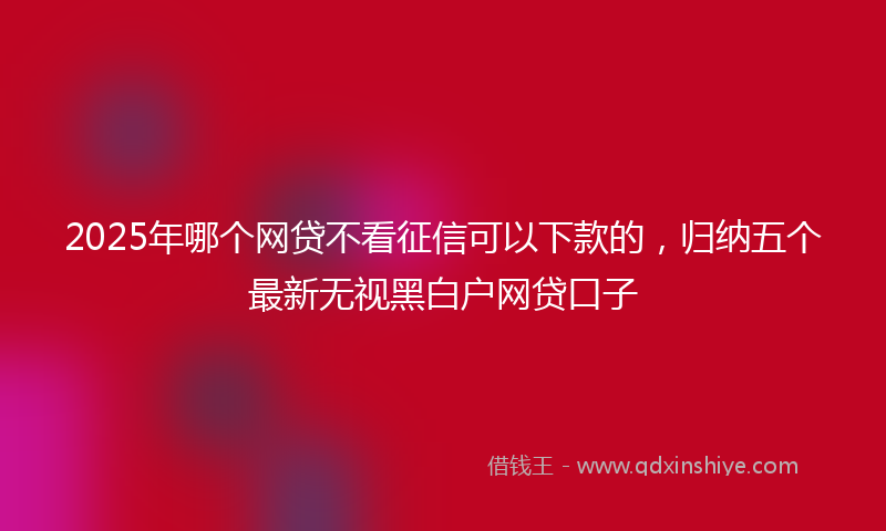 2025年哪个网贷不看征信可以下款的，归纳五个最新无视黑白户网贷口子