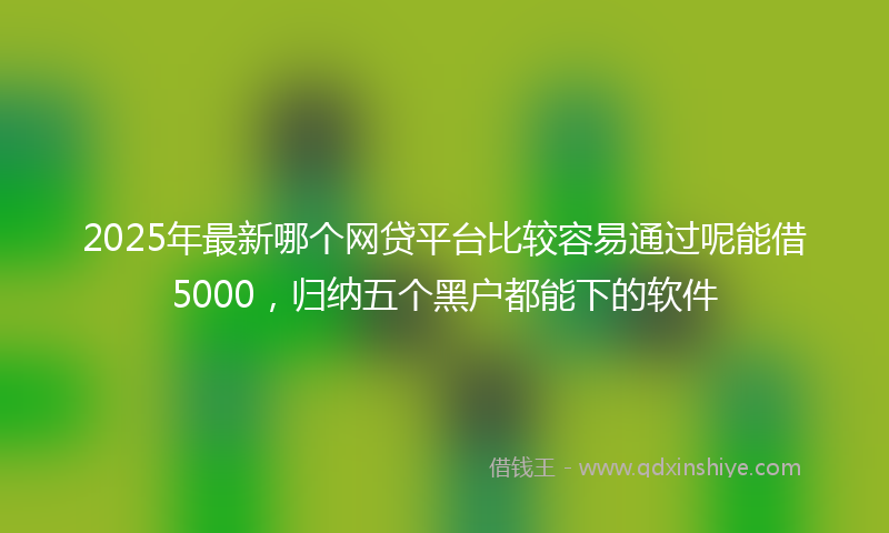 2025年最新哪个网贷平台比较容易通过呢能借5000，归纳五个黑户都能下的软件