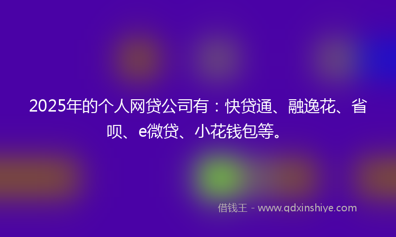 2025年的个人网贷公司有：快贷通、融逸花、省呗、e微贷、小花钱包等。