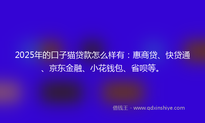 2025年的口子猫贷款怎么样有：惠商贷、快贷通、京东金融、小花钱包、省呗等。