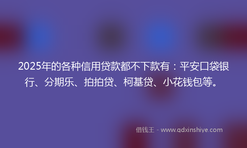 2025年的各种信用贷款都不下款有：平安口袋银行、分期乐、拍拍贷、柯基贷、小花钱包等。