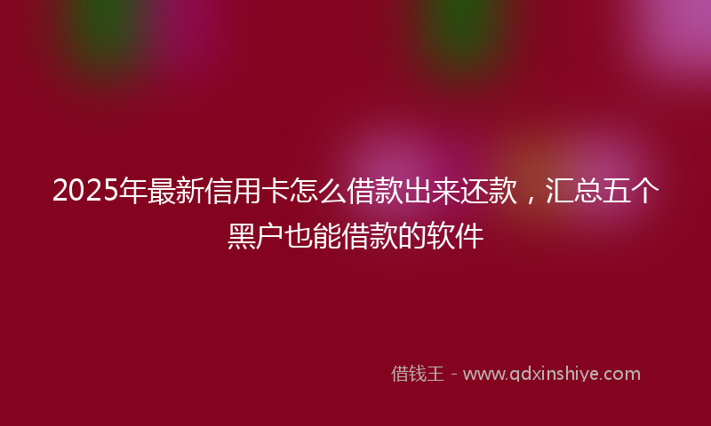 2025年最新信用卡怎么借款出来还款，汇总五个黑户也能借款的软件