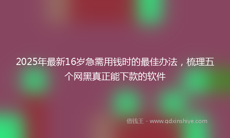 2025年最新16岁急需用钱时的最佳办法，梳理五个网黑真正能下款的软件